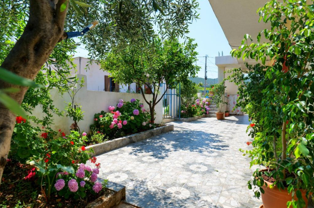 ilias House 