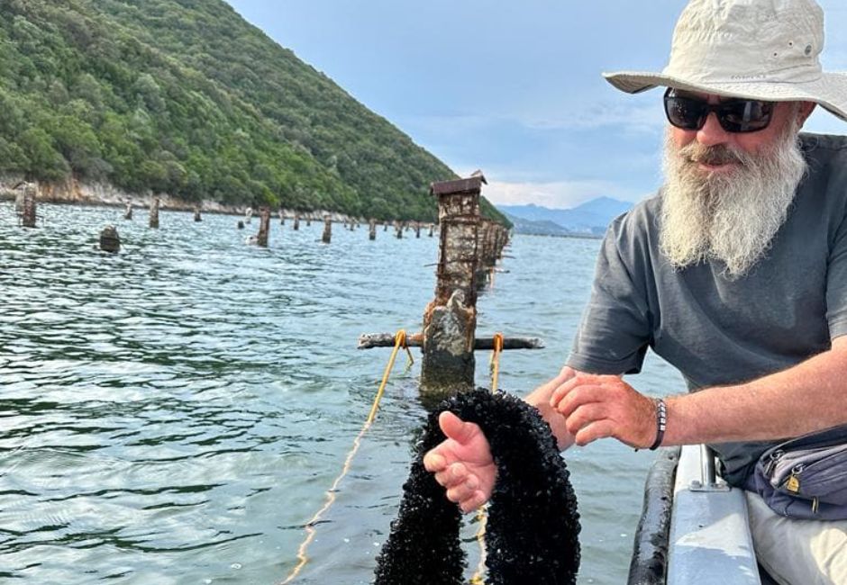 Mussel Farming