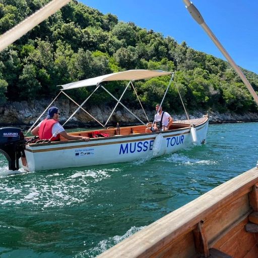 Mussel Sailing Tour